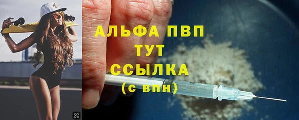 ПСИЛОЦИБИНОВЫЕ ГРИБЫ Вязники